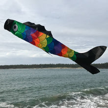 Rainbow Scales 60