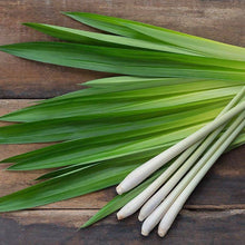 Lemongrass Essential Oil: .5 fl oz