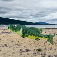 Bass 48