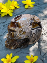 Ammonite Alien Skull