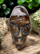 Ammonite Alien Skull