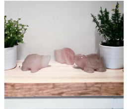 Natural Gemstone Turtles 1