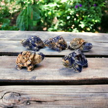 Natural Gemstone Turtles 1