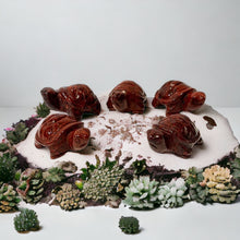 Natural Gemstone Turtles 1