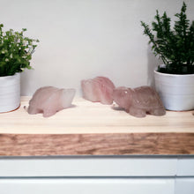 Natural Gemstone Turtles 1