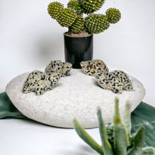 Natural Gemstone Turtles 1