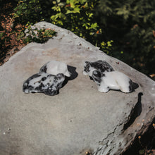 Natural Gemstone Turtles 1