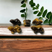 Natural Gemstone Frogs