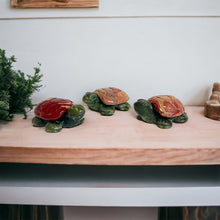 Rainbow Jasper Turtle