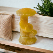 Mushroom Family 2 1/2”