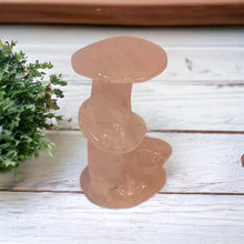 Mushroom Family 2 1/2”