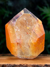 Dreamcoat Lemurian Crystal Point