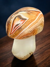 Sardonyx Mushroom #2
