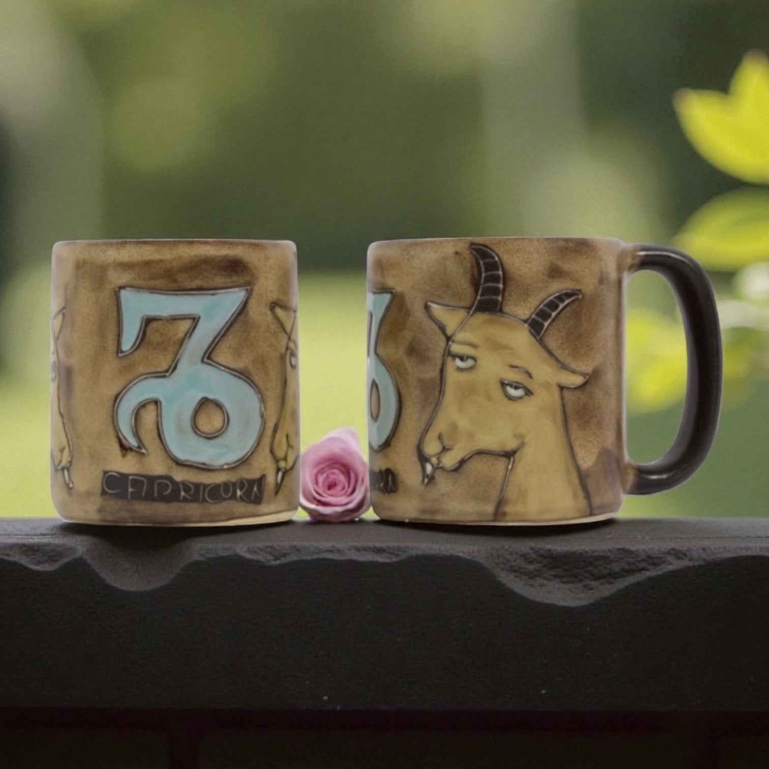 Capricorn Zodiac Mug