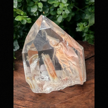 Amphibole Quartz Point