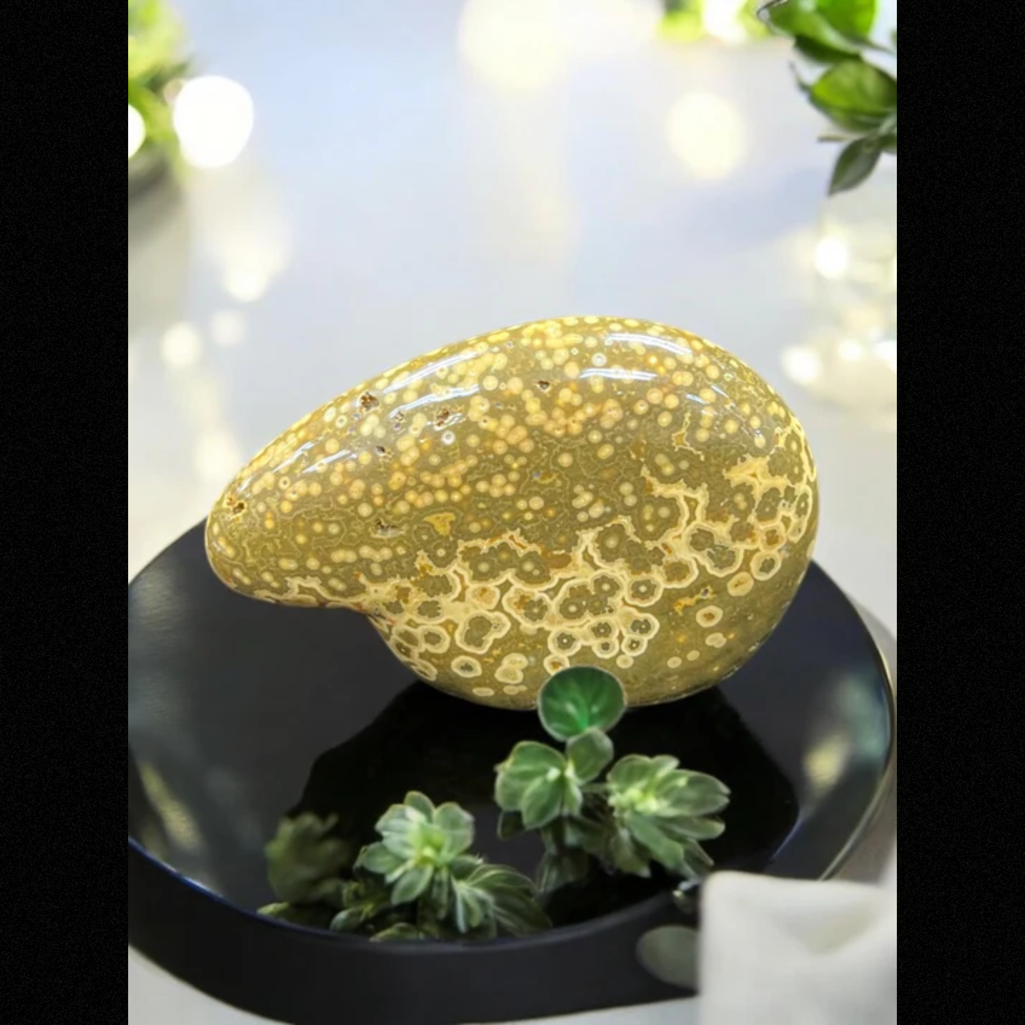 Ocean Jasper Zuni Bear