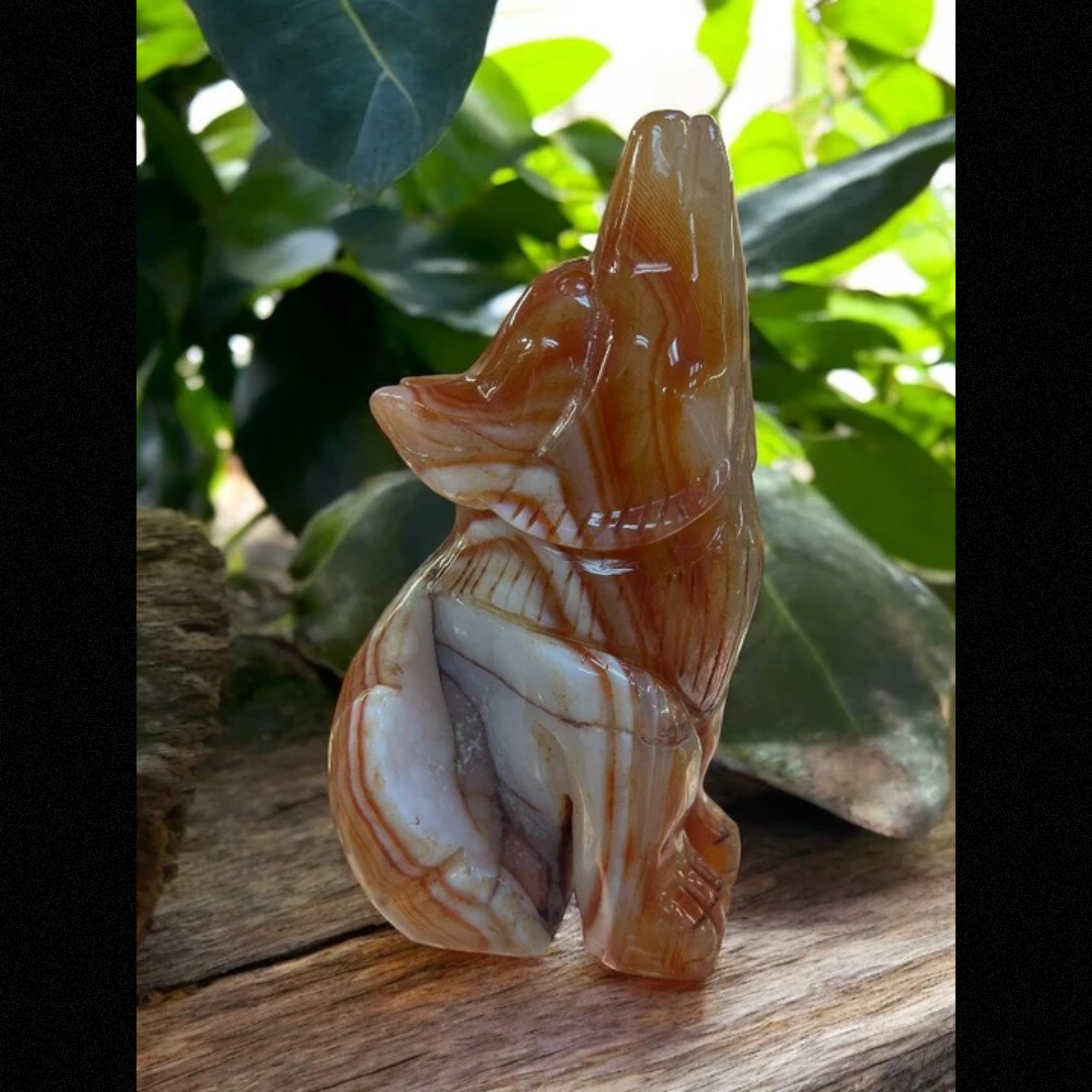 Carnelian Wolf