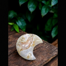 Flower Agate Moon
