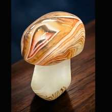 Sardonyx Mushroom #2