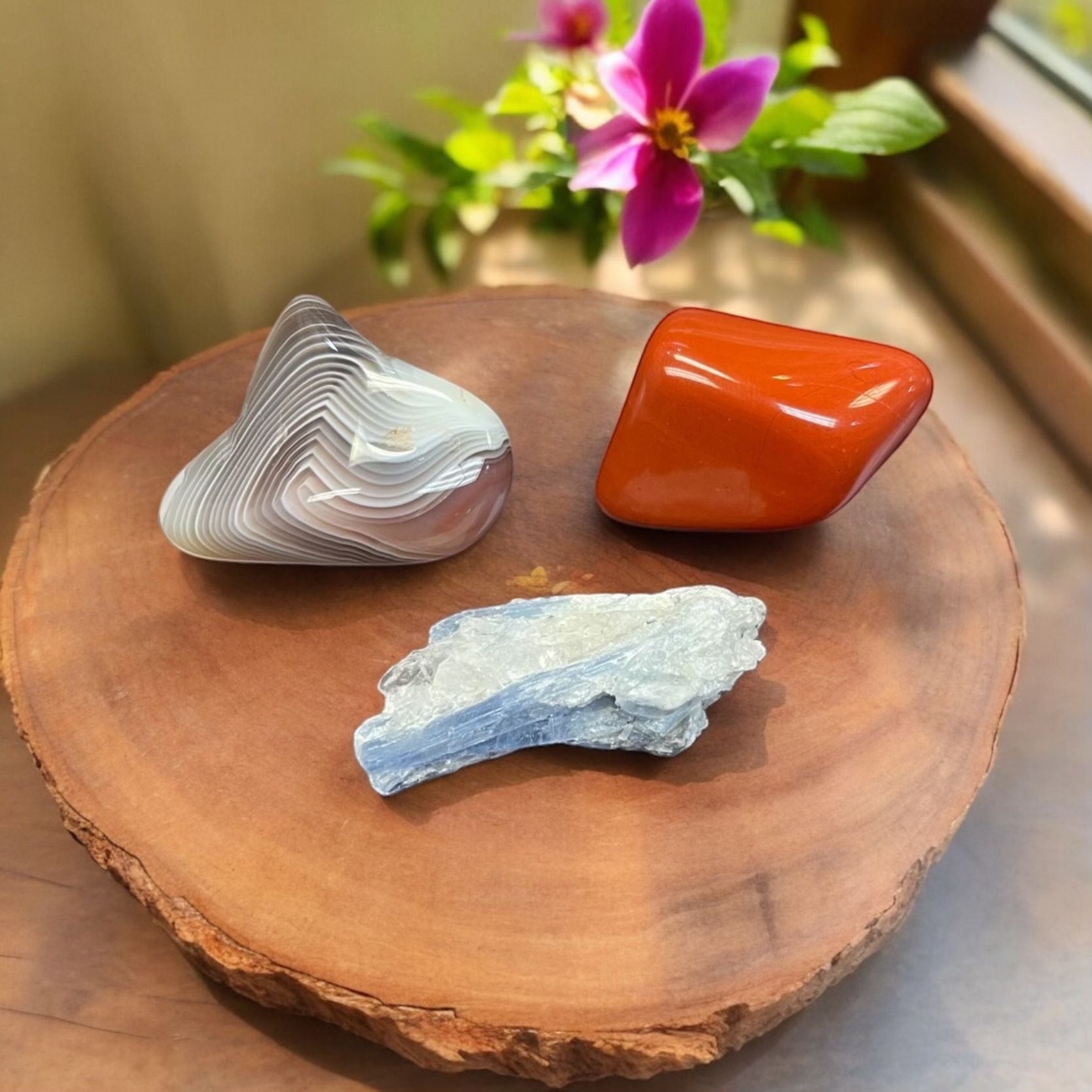 Leo Crystal Zodiac Set