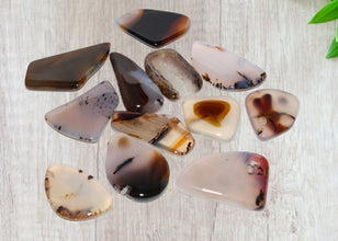 Montana Moss Agate Pocket Energy Stones