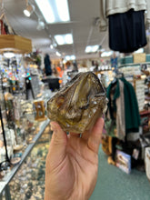 Himalayan Elestial Quartz Chunk