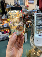 Sardonyx Mushroom #2