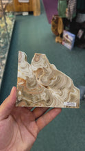 Crazy Lace Agate Slab - Medium